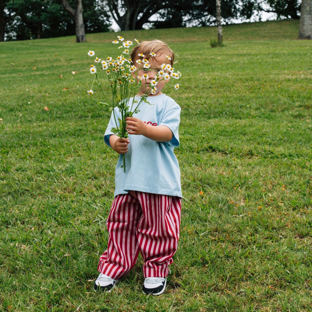 Red Stripe Pants