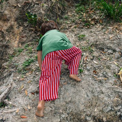 Red Stripe Pants