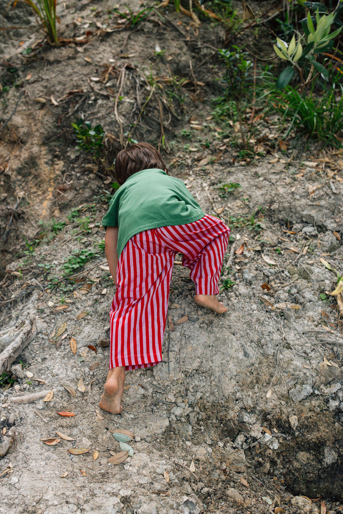 Red Stripe Pants