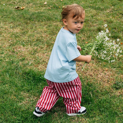 Red Stripe Pants