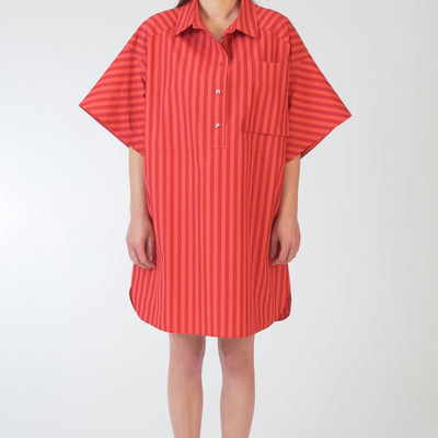 Freddy Shirt Dress