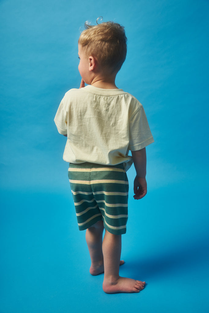 Stripe Knit Shorts