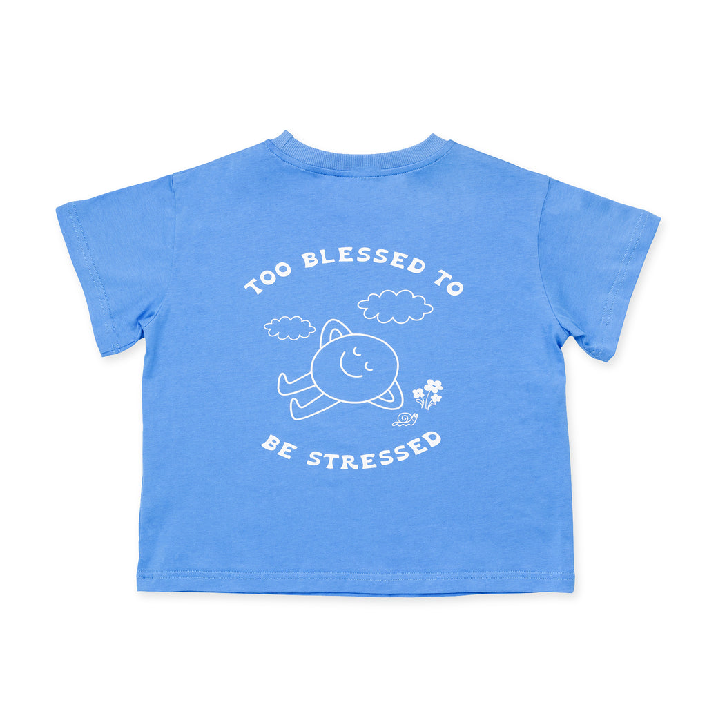 Paper Plane - Little the Label - Too Blessed Blue Tee - Graphic on back of tee with 'Too Blessed to be Stressed'