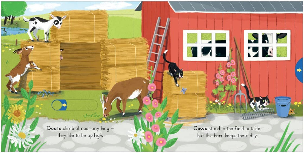 Farm: Big Outdoors for Little Explorers