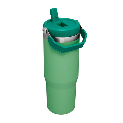 Flip Straw Tumbler - Jade